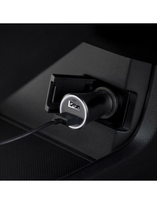 Xiaomi 37W Chargeur de Voiture Double Port | DOTIRI
