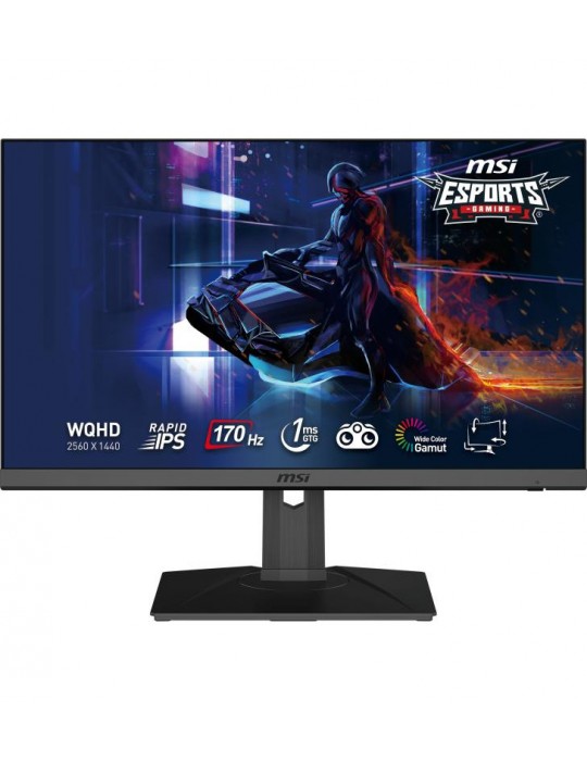 MSI G272QPF ÃƒÂ©cran plat de PC 68,6 cm (27") 2560 x 1440 pixels Wide Quad HD Noir