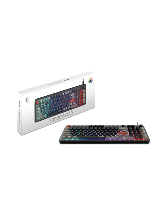 MSI FORGE GK110 FR | DOTIRI