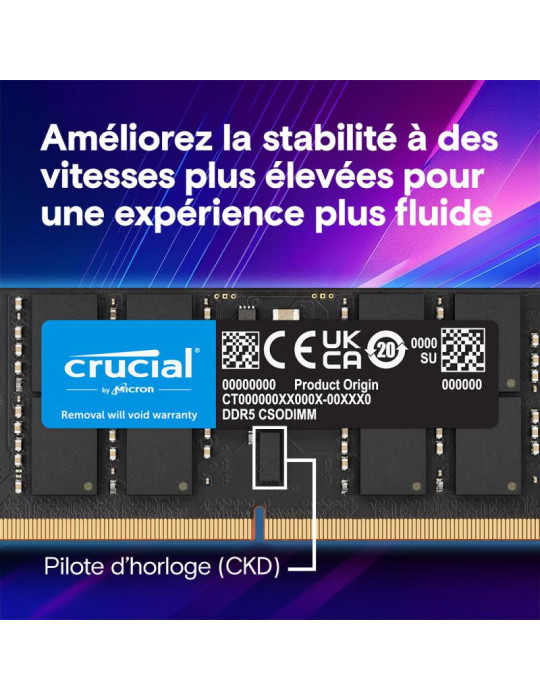 Crucial CT32G64C52CS5 module de mémoire 32 Go 1 | DOTIRI