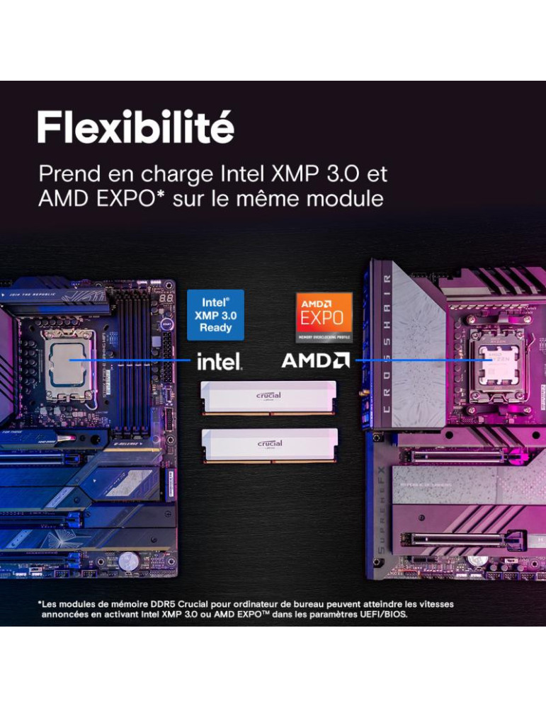 Crucial Pro CP2K32G64C40U5W module de mémoire 64 | DOTIRI