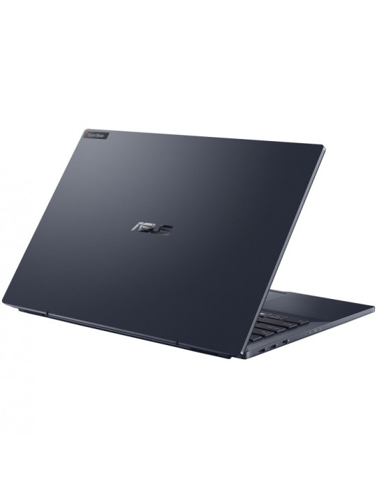 ASUS ExpertBook FLIP B5302CEA-EG0425R