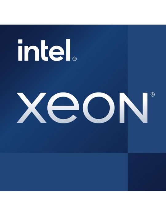 INTEL Xeon E-2314 *CM8070804496113