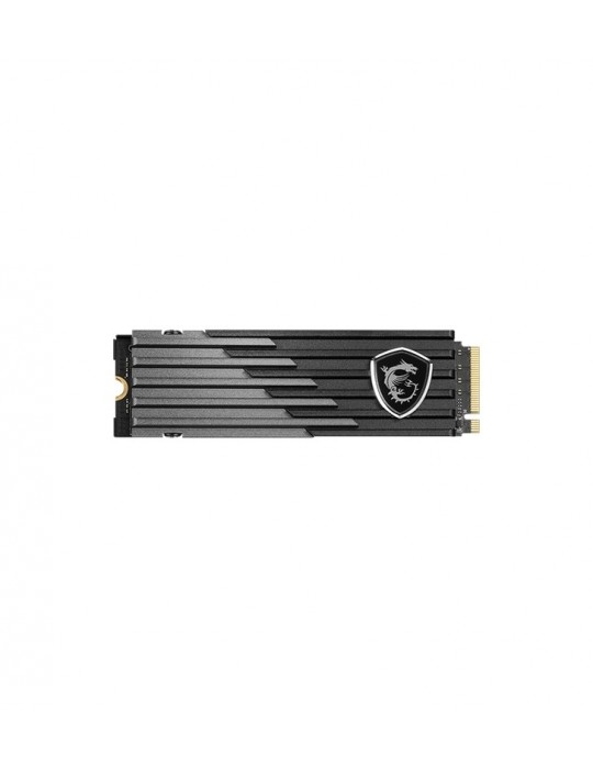 MSI SPATIUM M480 PLAY - PCIe 4.0 NVMe M.2 1To