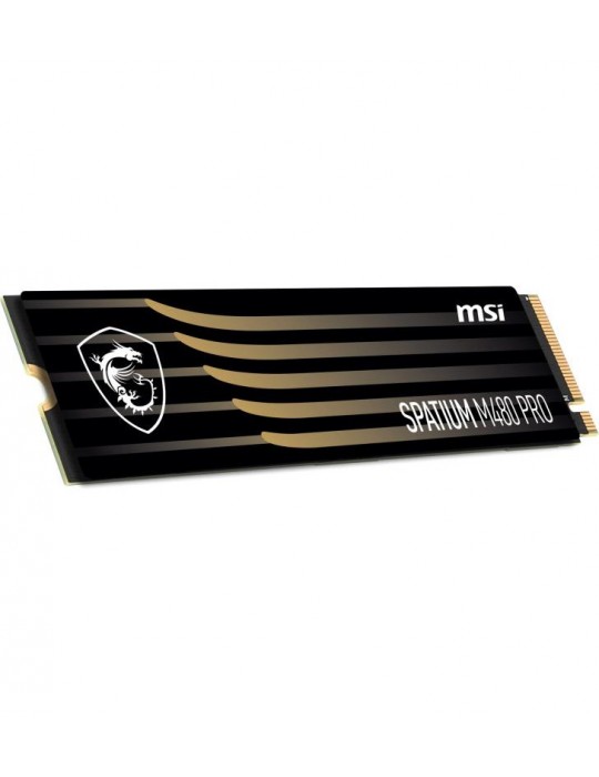 MSI SPATIUM M480 PRO PCIe 4.0 NVMe M.2 1TB 1 To PCI Express 4.0 3D NAND