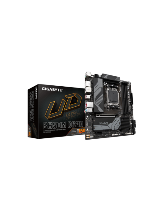 GIGABYTE B650M DS3H