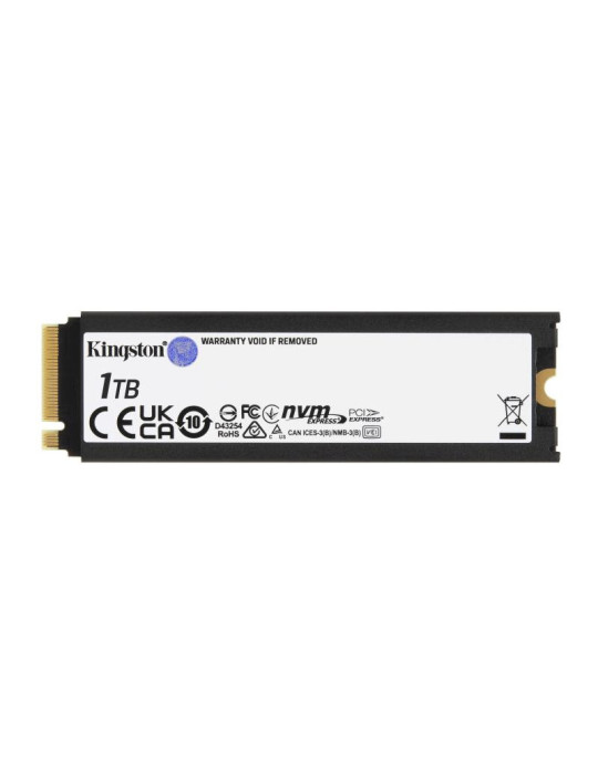 Kingston Technology 1000G RENEGADE PCIe 4.0 NVMe | DOTIRI