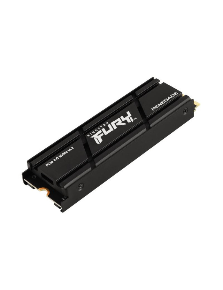 Kingston Technology 2000G RENEGADE PCIe 4.0 NVMe | DOTIRI