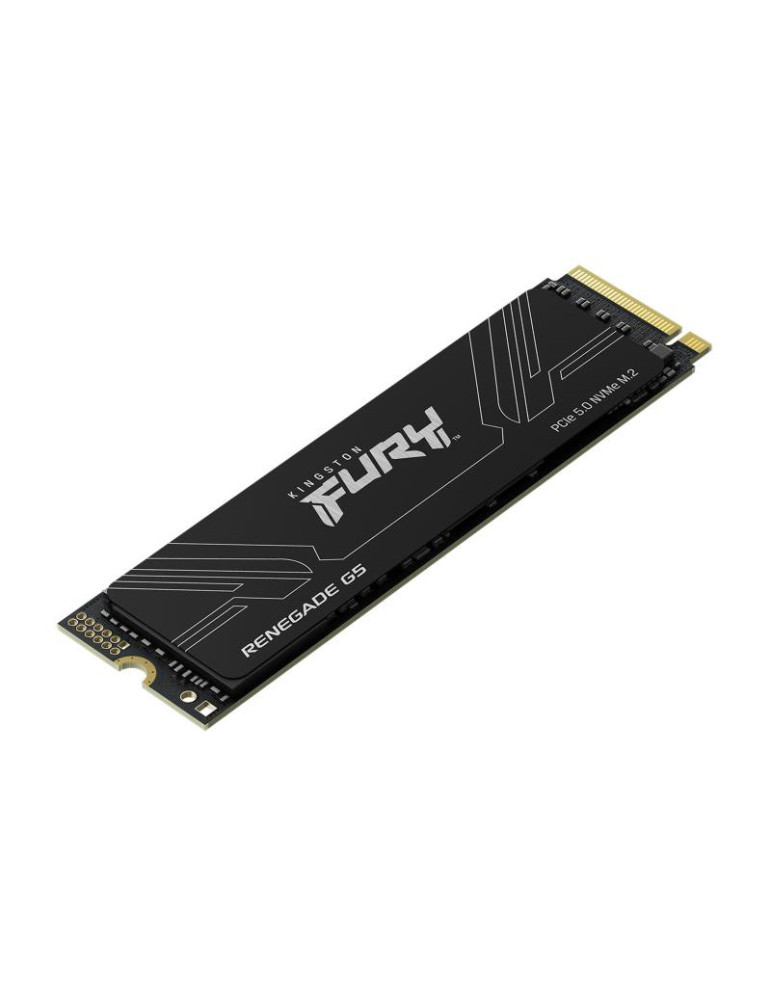 KINGSTON SSD 4096GB FURY Renegade G5 PCIe 5.0 | DOTIRI