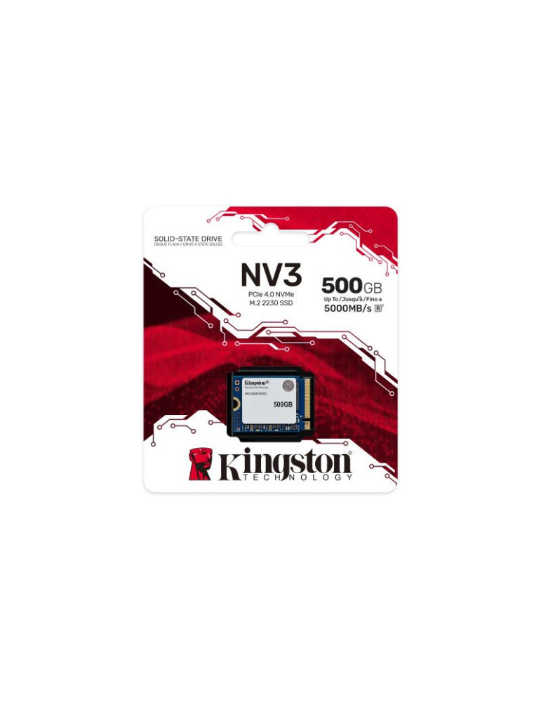 KINGSTON SNV3SM3/500G | DOTIRI