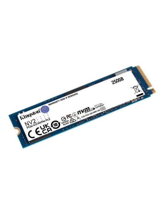 Kingston Technology 250G NV2 M.2 2280 PCIe 4.0 NVMe SSD