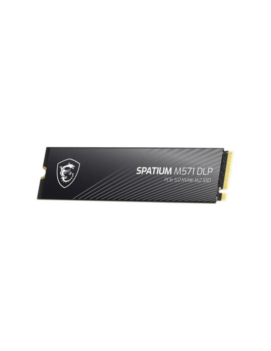 MSI SPATIUM M571 DLP PCIe 5.0 NVMe M.2 2TB | DOTIRI