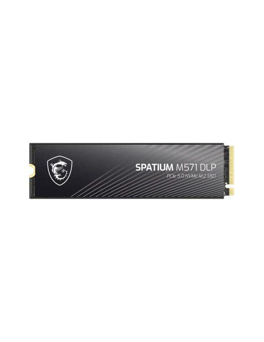 MSI SPATIUM M571 DLP PCIe 5.0 NVMe M.2 2TB | DOTIRI