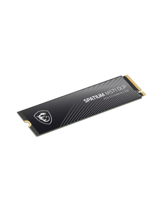 MSI SPATIUM M571 DLP PCIe 5.0 NVMe M.2 2TB | DOTIRI