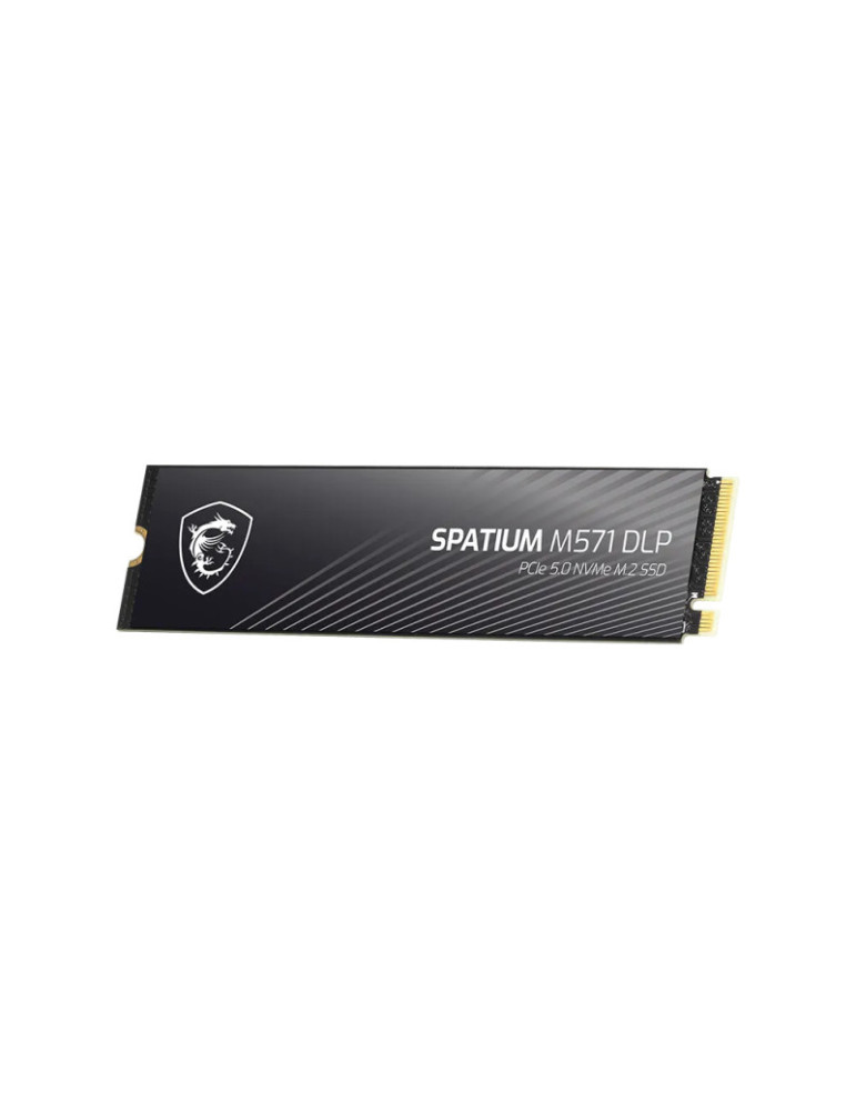 MSI SPATIUM M571 DLP PCIe 5.0 NVMe M.2 4TB | DOTIRI