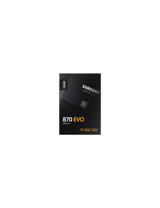 SAMSUNG SSD 870 EVO 250G 2.5" | DOTIRI
