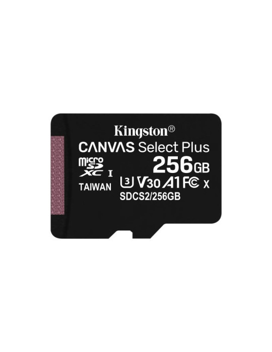 KINGSTON microSD 256G *SDCS2/256GB | DOTIRI