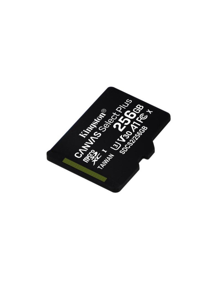 KINGSTON microSD 256G *SDCS2/256GB | DOTIRI