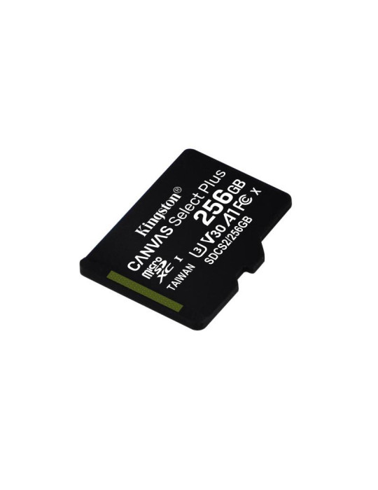 KINGSTON microSD 256G *SDCS2/256GB | DOTIRI