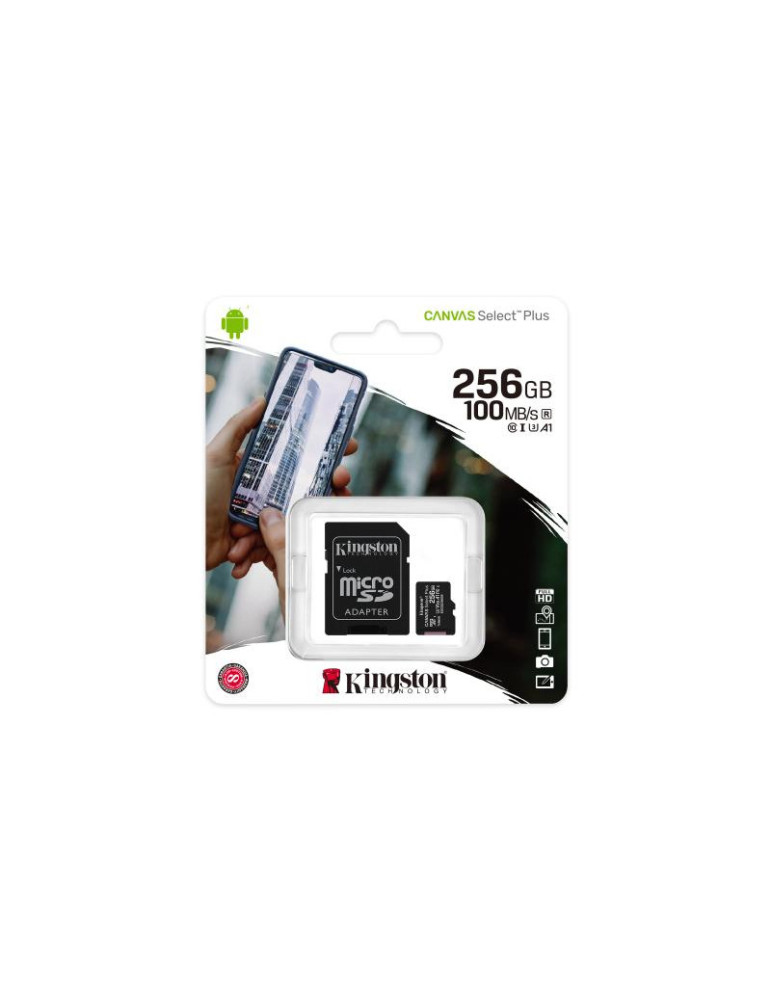 KINGSTON microSD 256G *SDCS2/256GB | DOTIRI