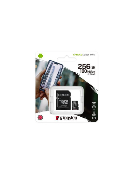 KINGSTON microSD 256G *SDCS2/256GB | DOTIRI