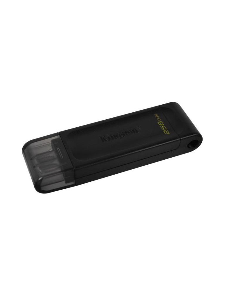Kingston Technology DataTraveler 256Go USB-C 3.2 | DOTIRI