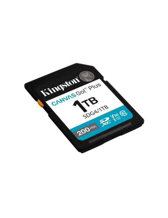 Kingston Technology Canvas Go! Plus 1 To SDXC | DOTIRI