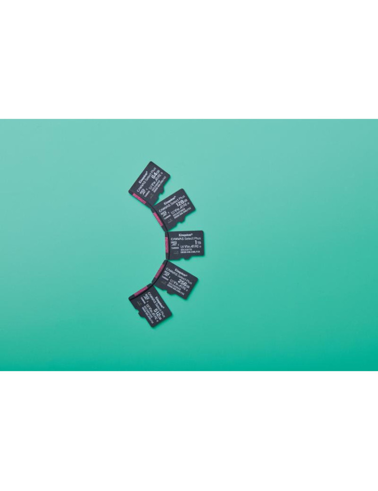 Kingston Technology 128GB micSDXC Canvas Select | DOTIRI
