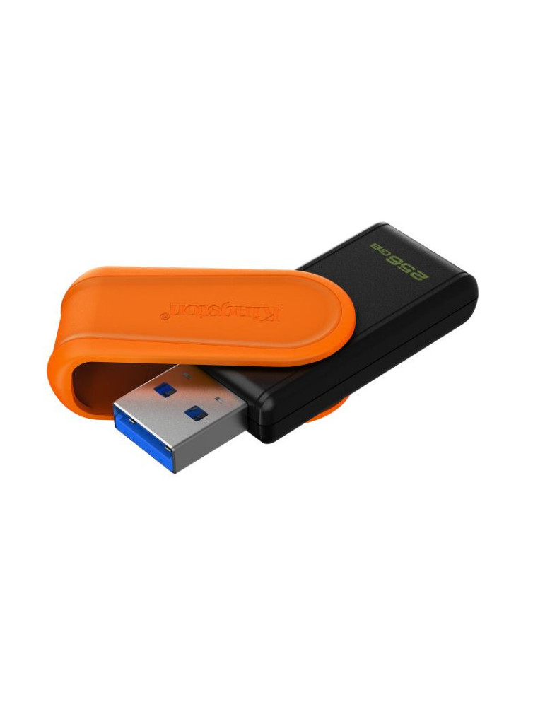 Kingston Technology DataTraveler 256GB Portable | DOTIRI