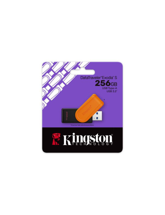 Kingston Technology DataTraveler 256GB Portable | DOTIRI