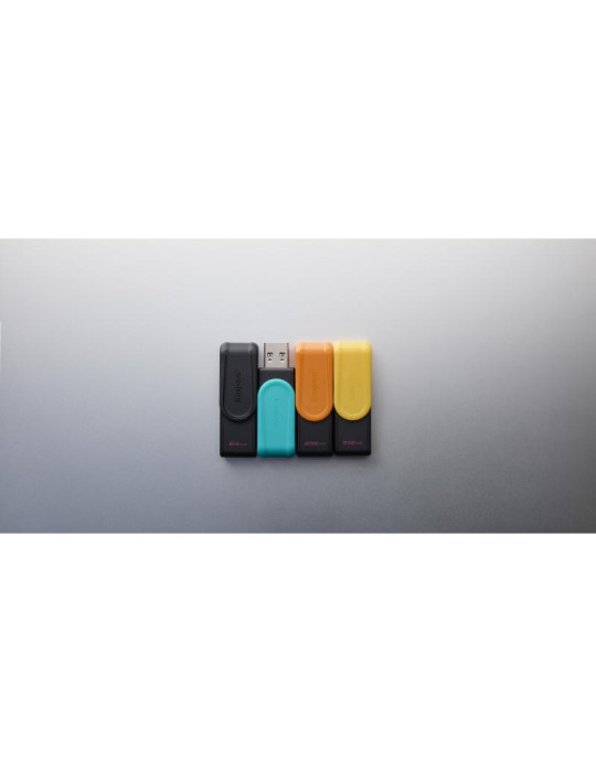 Kingston Technology DataTraveler 256GB Portable | DOTIRI
