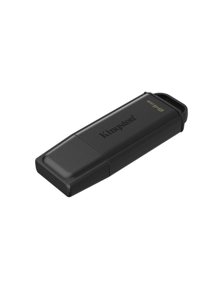 Kingston Technology DataTraveler 64Go Stockage