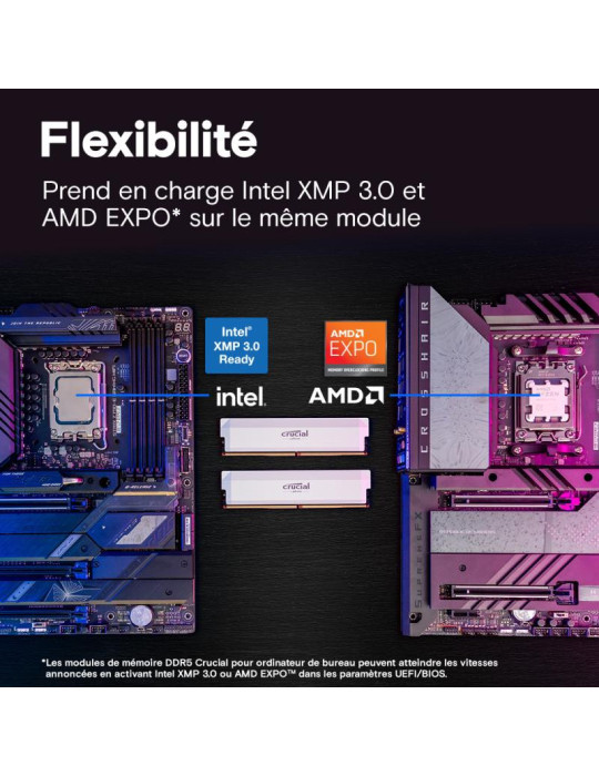 Crucial Pro CP2K32G64C40U5W module de mémoire 64 | DOTIRI