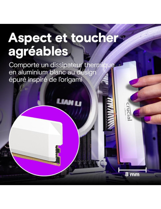 Crucial Pro CP2K32G64C40U5W module de mémoire 64 | DOTIRI