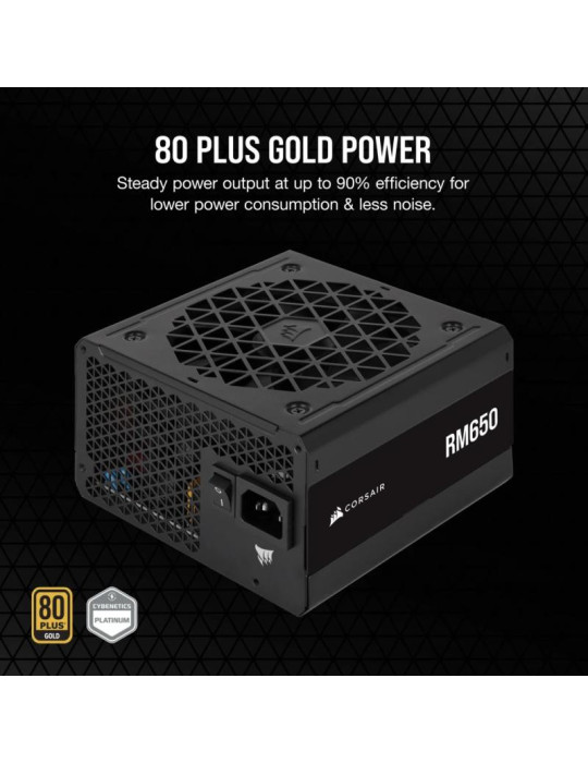 CORSAIR RM Series RM650 80PLUS Gold  o | DOTIRI