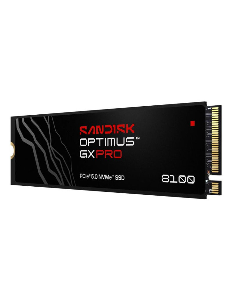 SANDISK Optimus GX PRO 8100 2To | DOTIRI