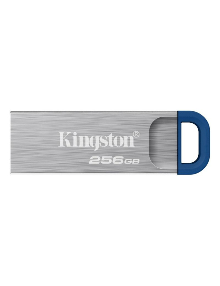 Kingston Technology DataTraveler 256 Go Kyson