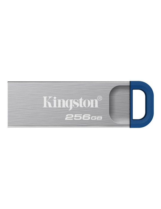 Kingston Technology DataTraveler 256 Go Kyson
