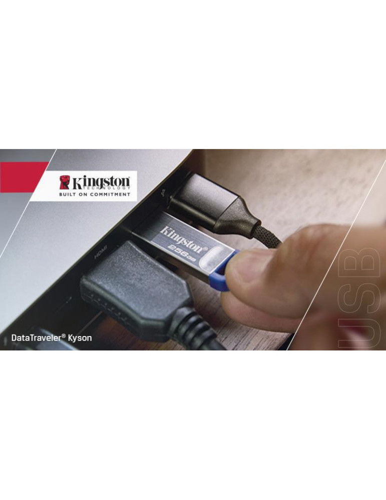 Kingston Technology DataTraveler 256 Go Kyson