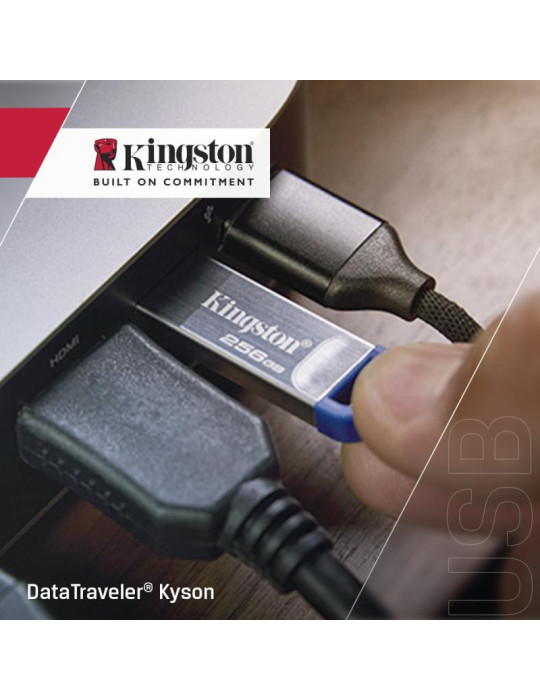 Kingston Technology DataTraveler 256 Go Kyson