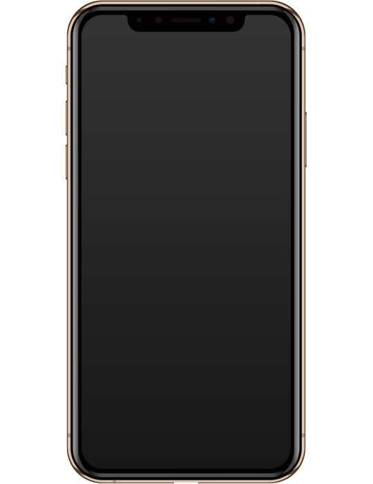 iPhone XS