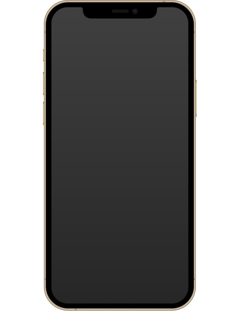 iPhone 12 Pro