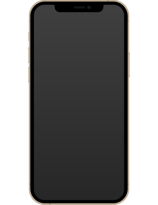 iPhone 12 Pro