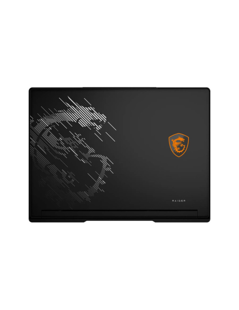 MSI Raider A16 HX B8WH-047FRY | DOTIRI