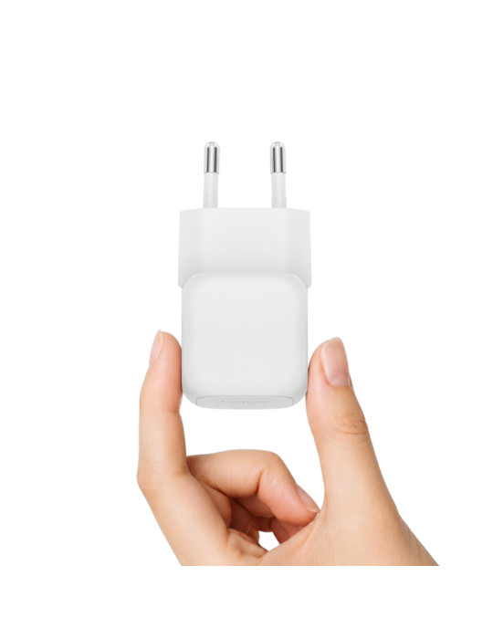 BELKIN Chargeur Secteur 30W + Câble USB-C vers USB-C 2m (Argent)
