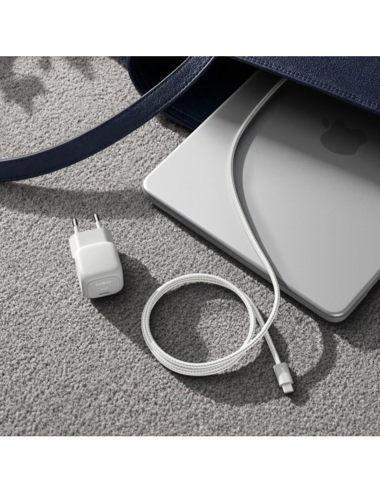 BELKIN Chargeur Secteur 30W + Câble USB-C vers USB-C 2m (Argent)