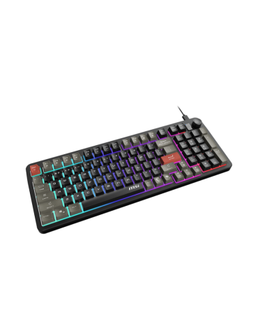 MSI FORGE GK110 FR