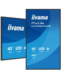 iiyama LH4364UHS-B1AG | DOTIRI