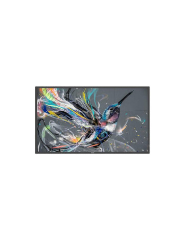 Philips Q-Line 55BDL4050Q/00