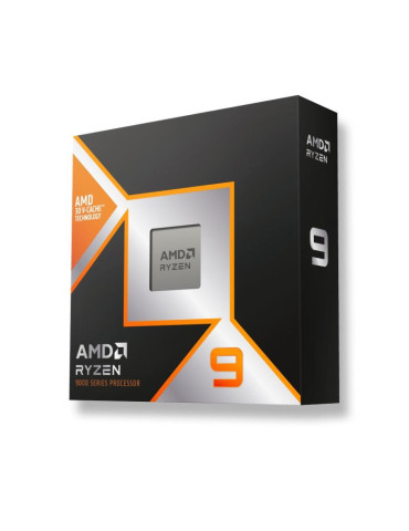 AMD Ryzen 9 9900X3D